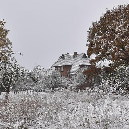 Ferienwohnung Ehemalige Revierfoersterei "Uns Luett" Kuhstorf Buitenkant foto