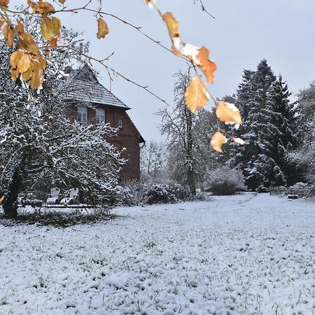 Ferienwohnung Ehemalige Revierfoersterei "Uns Luett" Kuhstorf Buitenkant foto