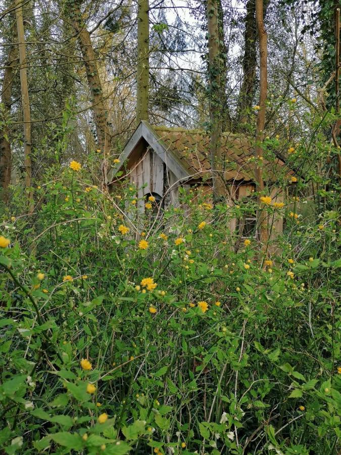 Ferienwohnung Ehemalige Revierfoersterei "Uns Luett" Kuhstorf Buitenkant foto