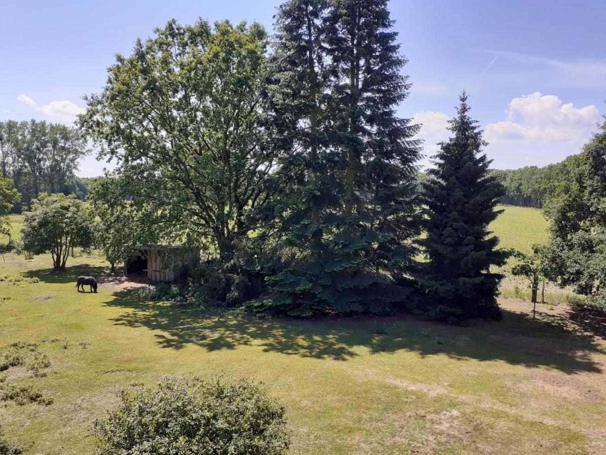 Ferienwohnung Ehemalige Revierfoersterei "Uns Luett" Kuhstorf Buitenkant foto