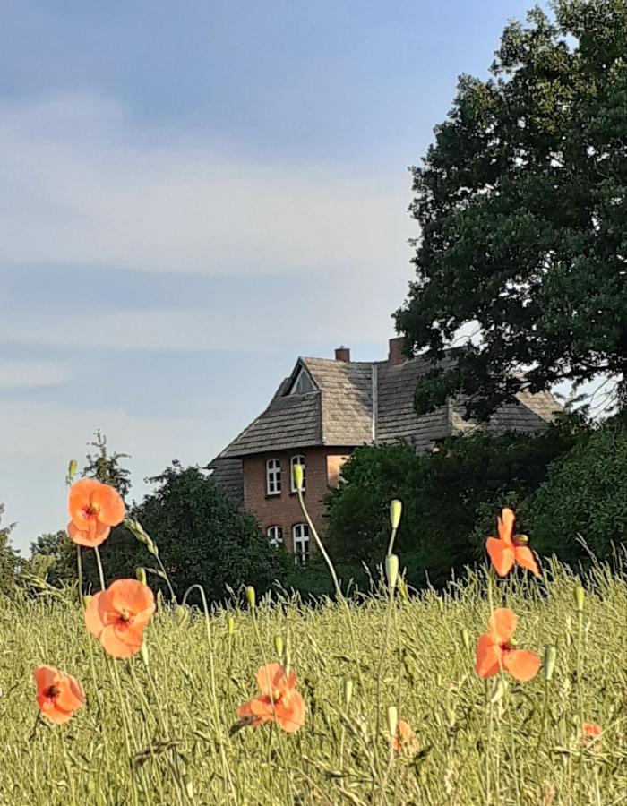 Ferienwohnung Ehemalige Revierfoersterei "Uns Luett" Kuhstorf Buitenkant foto