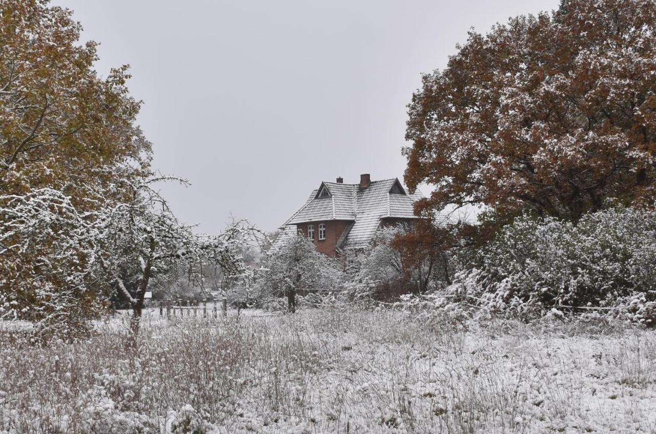 Ferienwohnung Ehemalige Revierfoersterei "Uns Luett" Kuhstorf Buitenkant foto