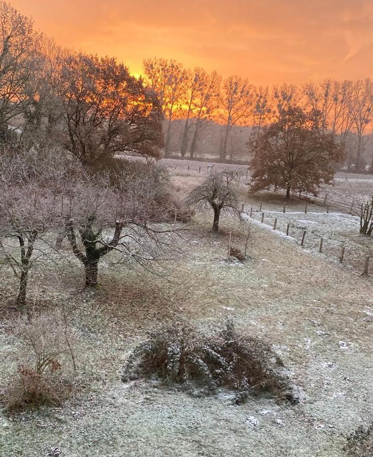 Ferienwohnung Ehemalige Revierfoersterei "Uns Luett" Kuhstorf Buitenkant foto